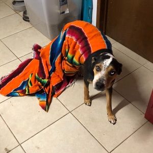 Meet your Posher, Tara